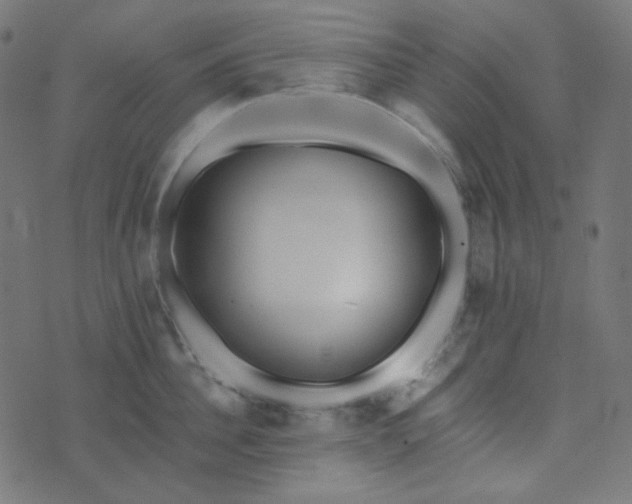 X0000073920956200608181046