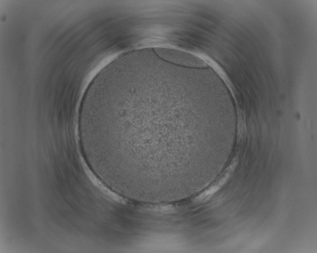 X0000073920957200608181046