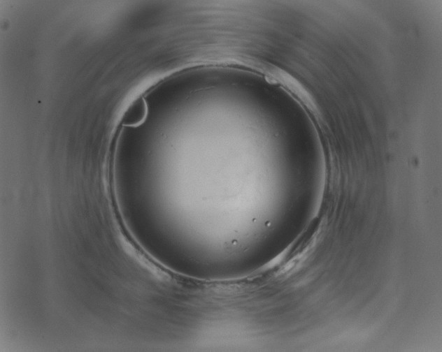 X0000073920958200608181046