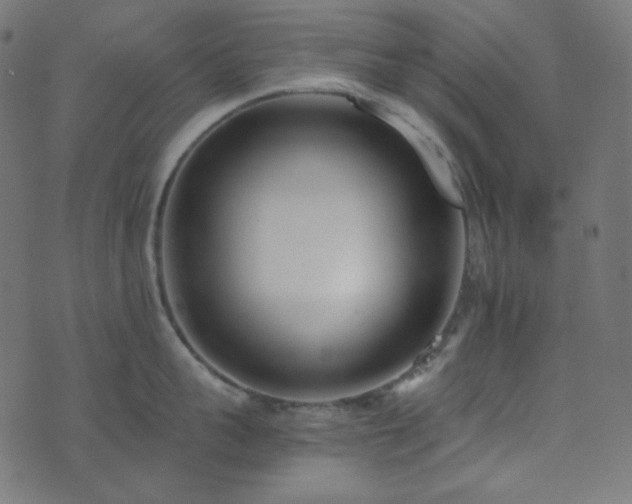 X0000073920959200608181046