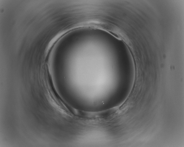 X0000073920960200608181046