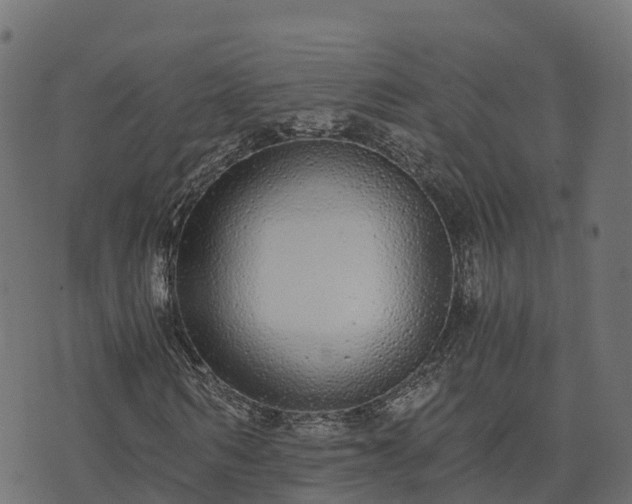 X0000073920962200608181045