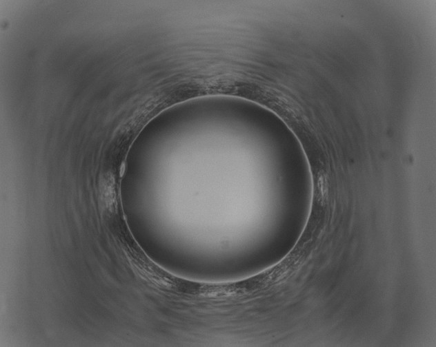 X0000073920963200608181045