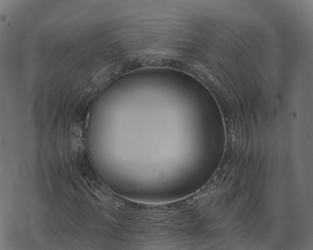 X0000073920964200608181045