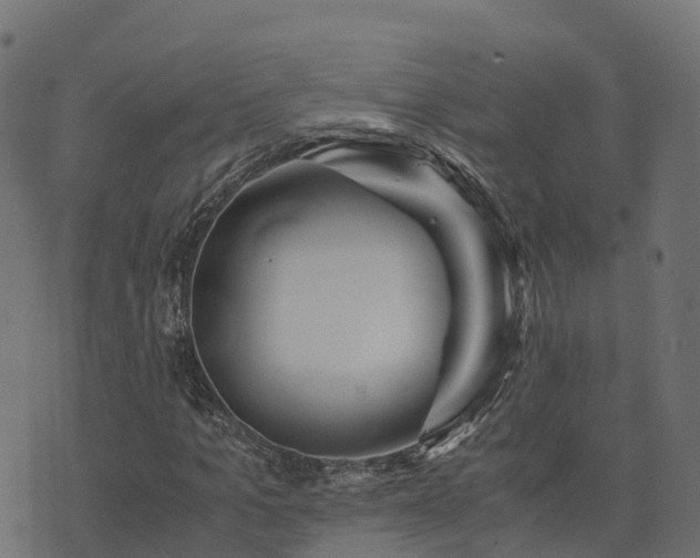 X0000073920965200608181045