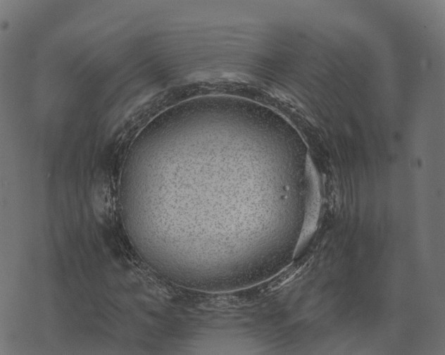 X0000073920966200608181045