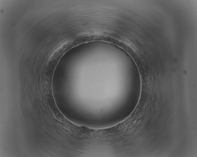 X0000073920967200608181045