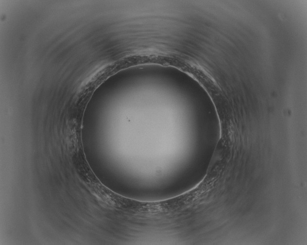 X0000073920968200608181045