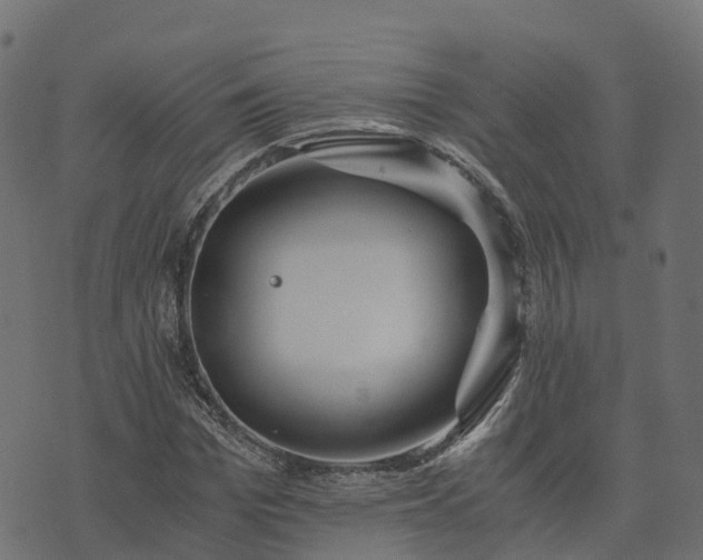 X0000073920969200608181045