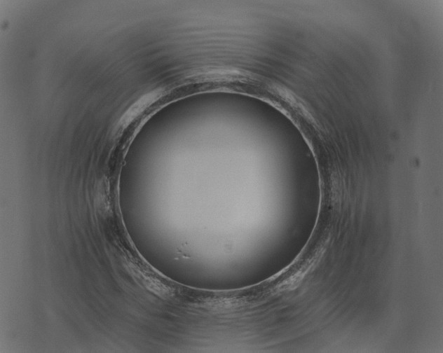 X0000073920970200608181045