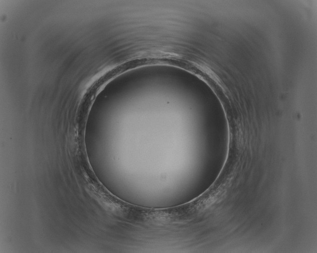 X0000073920971200608181045