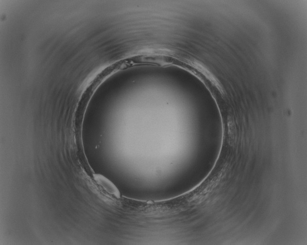 X0000073920972200608181045