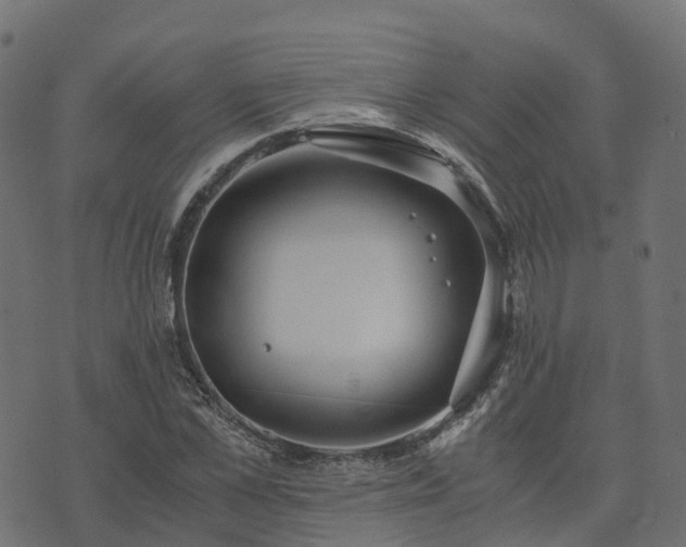 X0000073920973200608181045