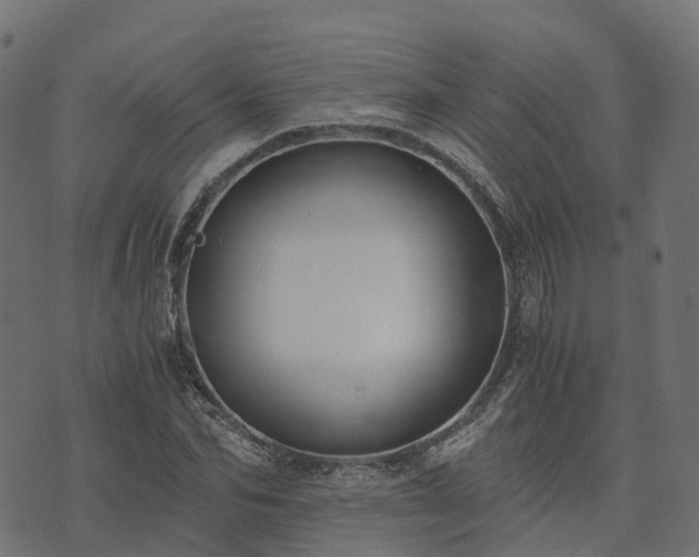 X0000073920974200608181045