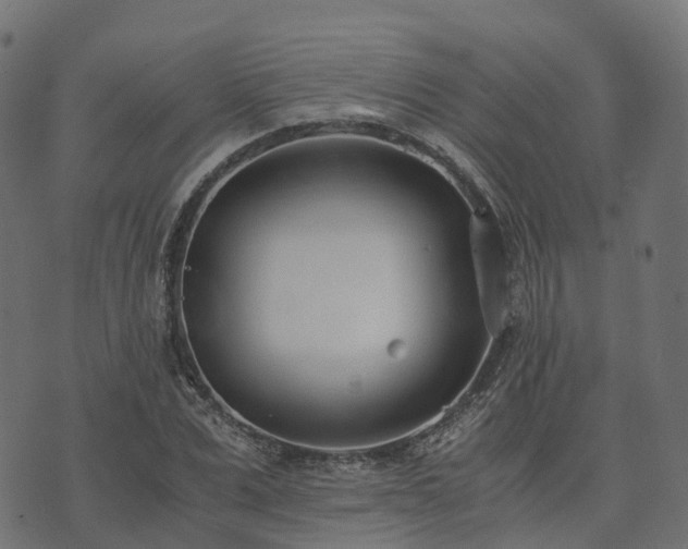 X0000073920975200608181045