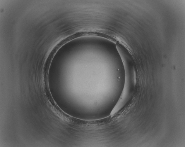 X0000073920976200608181045