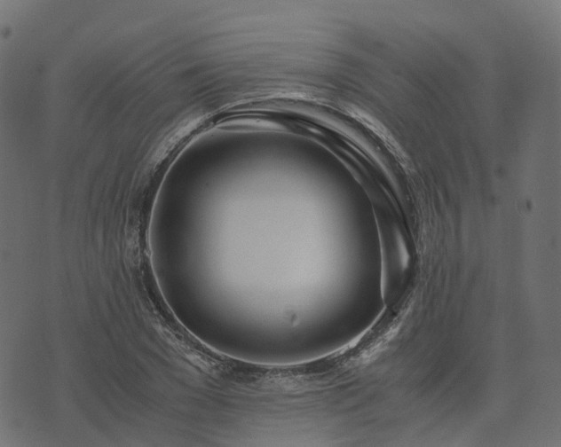 X0000073920977200608181045