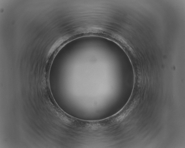 X0000073920978200608181045