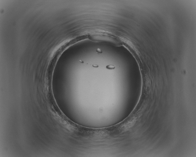 X0000073920979200608181045