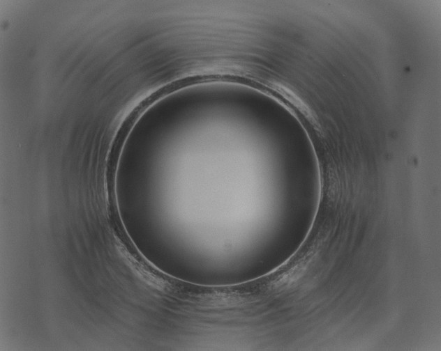 X0000073920980200608181045