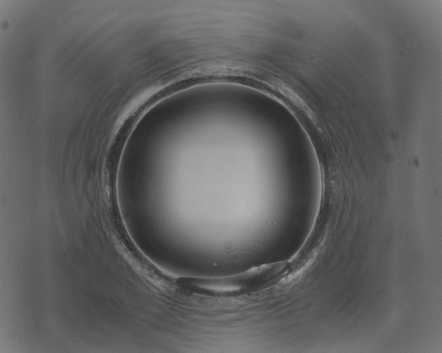 X0000073920981200608181045