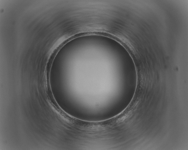 X0000073920982200608181045