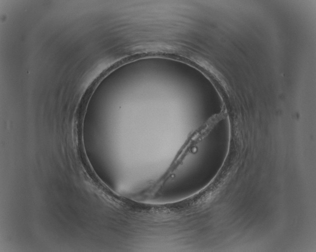 X0000073920983200608181045