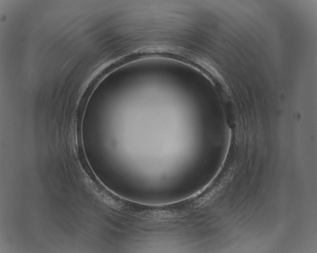 X0000073920984200608181045