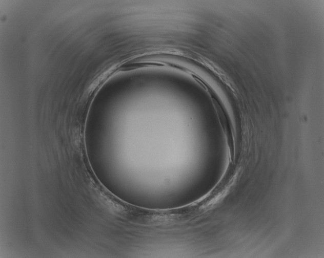 X0000073920985200608181045