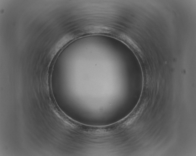 X0000073920986200608181045