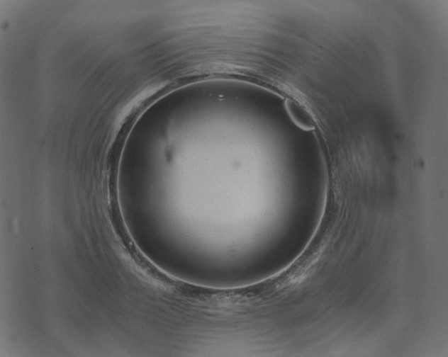 X0000073920987200608181045