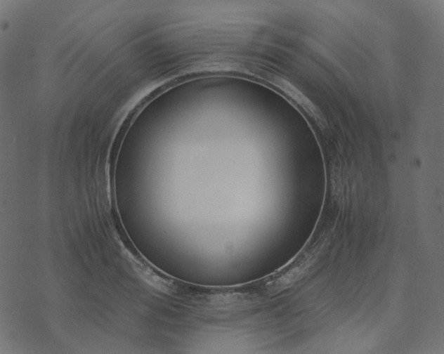 X0000073920988200608181045