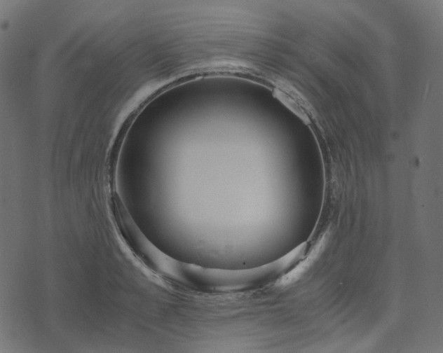 X0000073920989200608181045