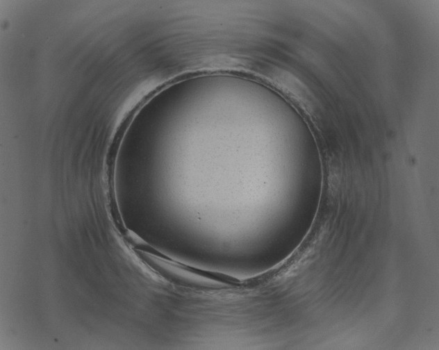 X0000073920990200608181045