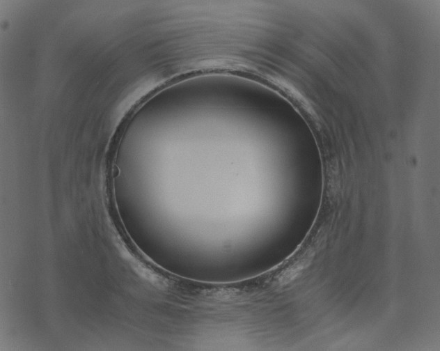 X0000073920991200608181045