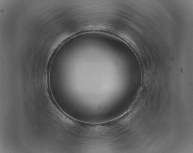 X0000073920992200608181045