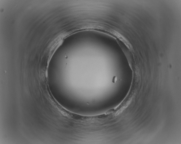 X0000073920993200608181044