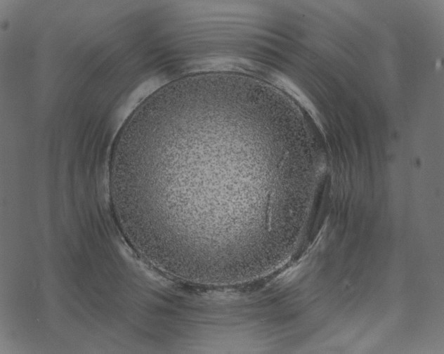 X0000073920994200608181044