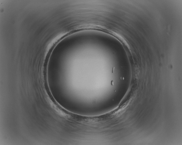 X0000073920995200608181044