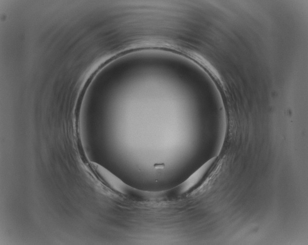 X0000073920996200608181044