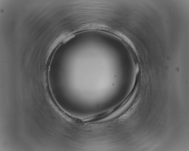 X0000073920997200608181044