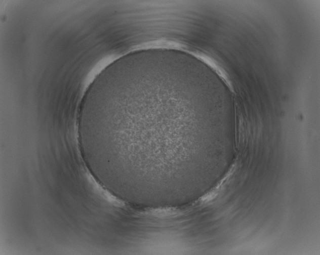 X0000073920998200608181044