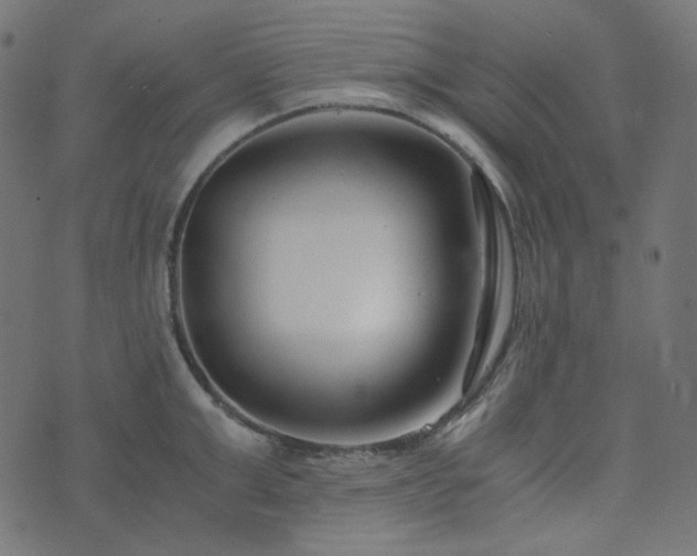 X0000073920999200608181044