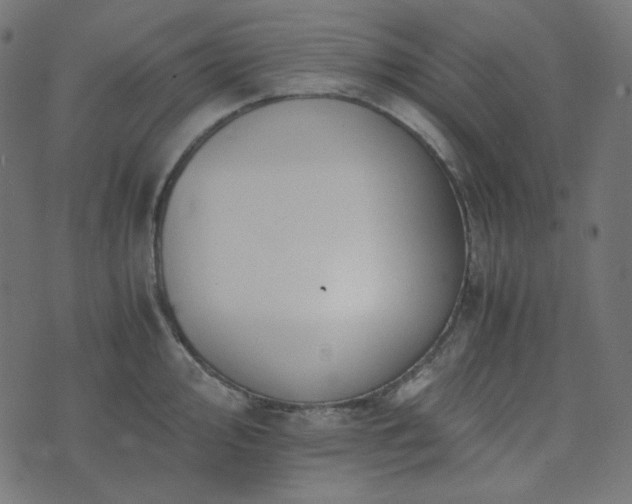 X0000073921000200608181044