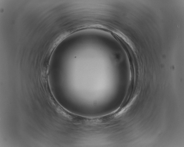 X0000073921001200608181044