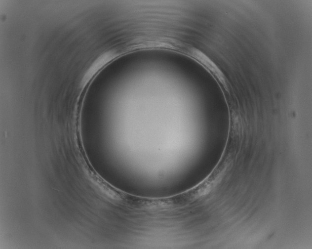 X0000073921002200608181044