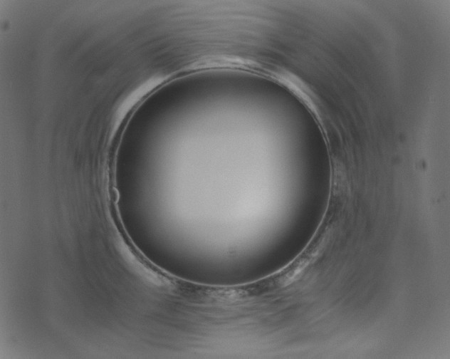 X0000073921003200608181044