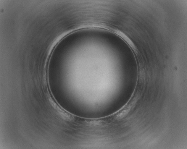 X0000073921004200608181044