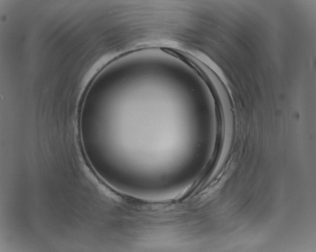 X0000073921005200608181044