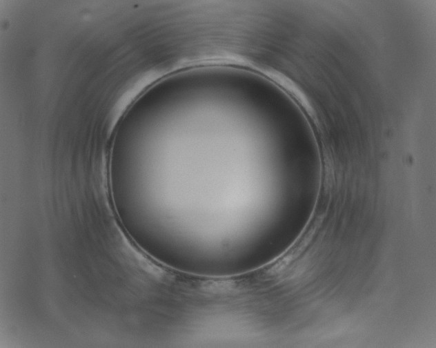 X0000073921006200608181044